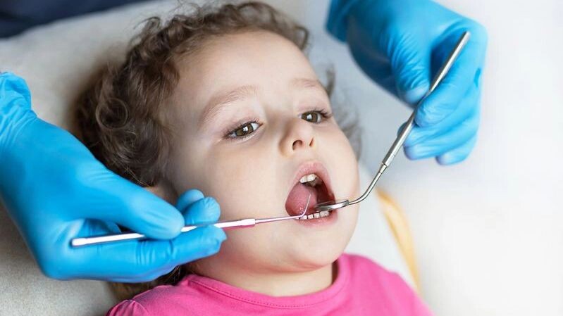    Фото: ElenaYakimova / Shutterstock / Fotodom