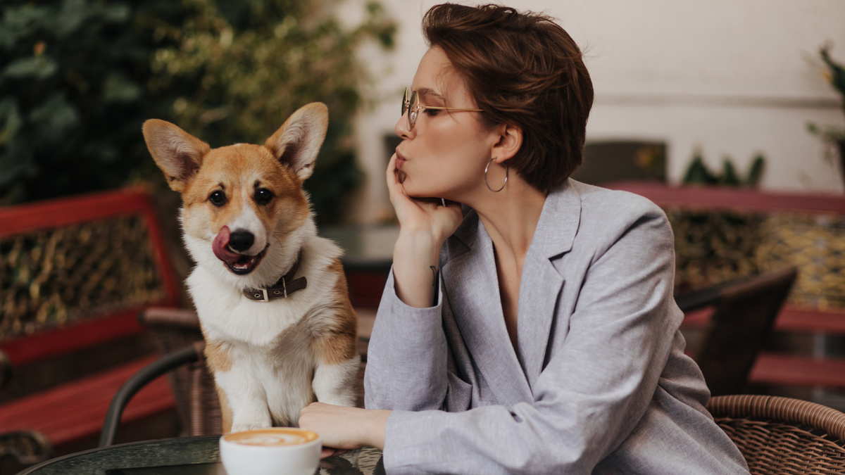    Тимати, Невилл и Чубакка – необычные клички для собак. Фото: Freepik