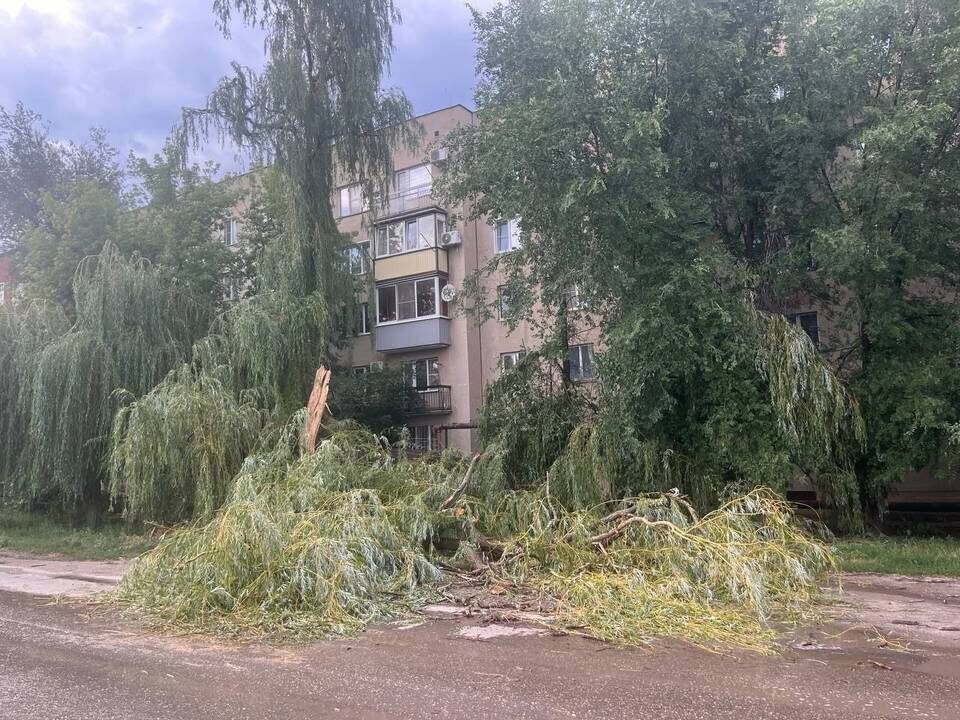    Фото: Администрация Фролово Волгоградской области