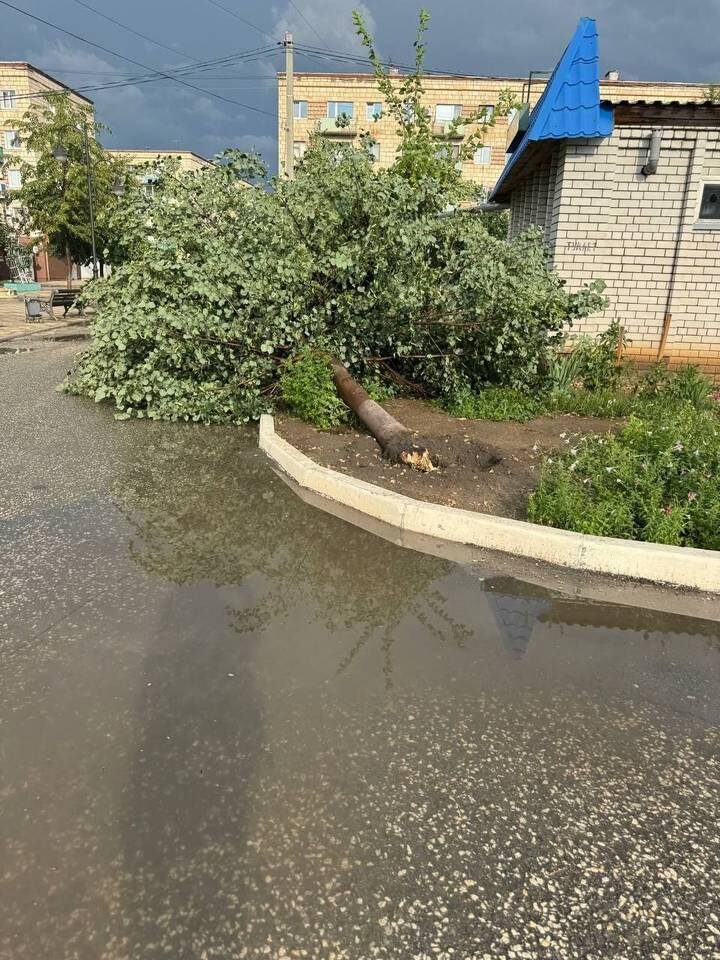    Фото: Администрация Фролово Волгоградской области