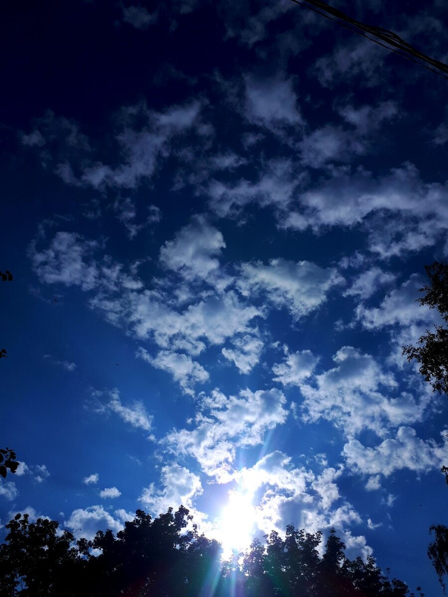 Фото автора статьи 24.04.2025г.