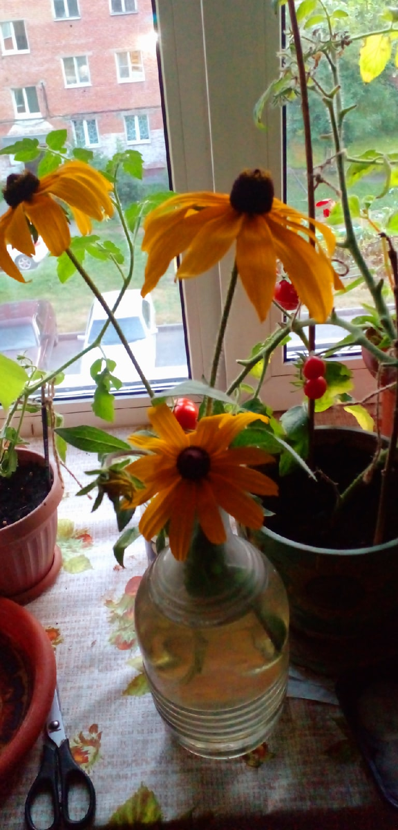 Все фото и материал автора