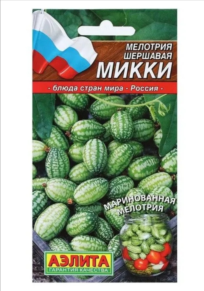 Мои семена из вот такой пачки