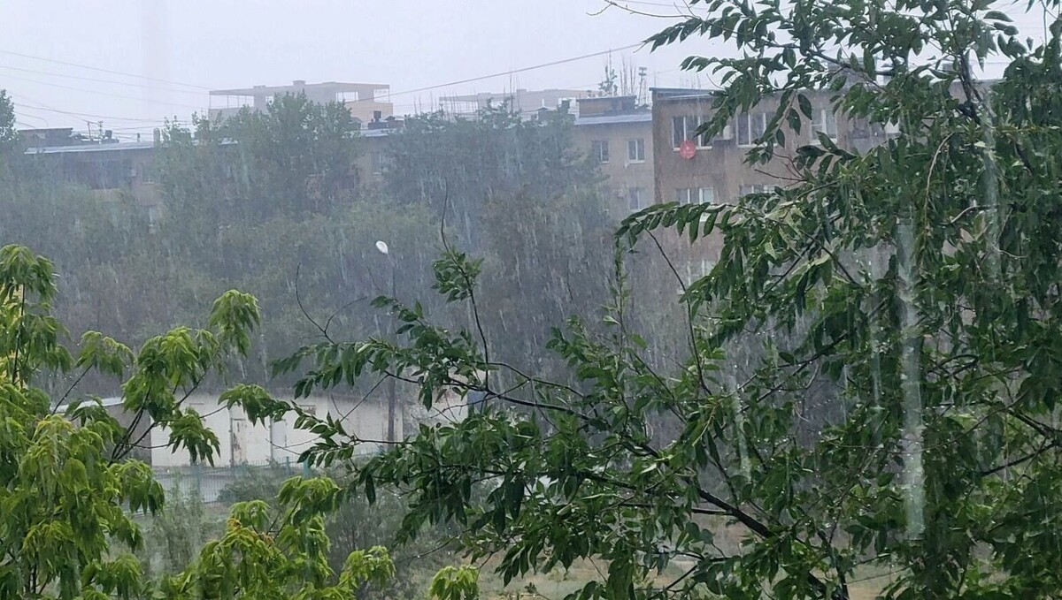     Источник: novostivolgograda.ru