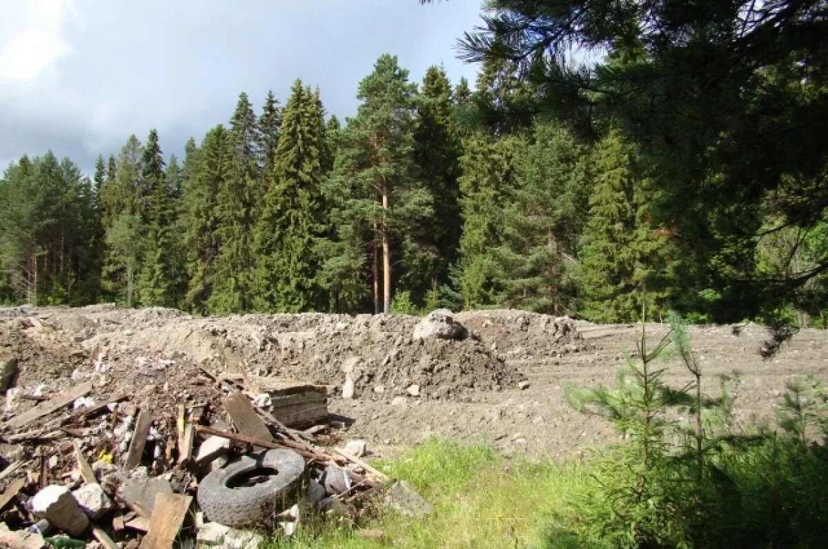    В Кольчугинском районе обнаружили огромную свалку в лесу