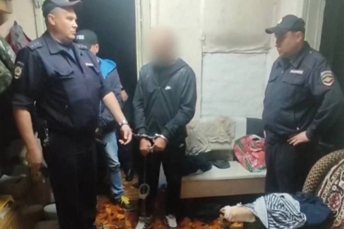    Обвиняемый признал свою вину.