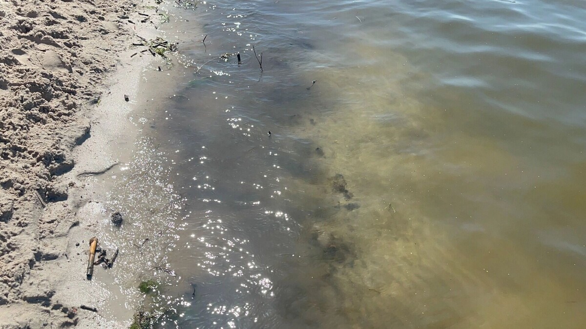     Источник: 1MI