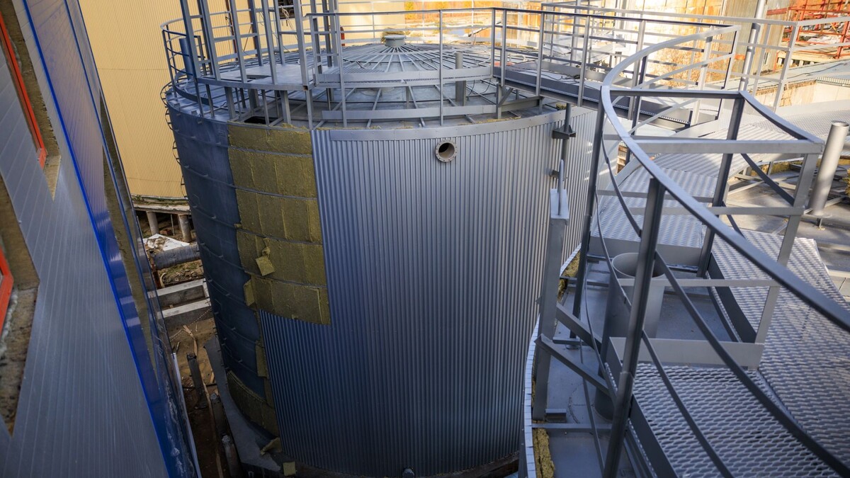    Фото: Василий Петров / «Ямал-Медиа»