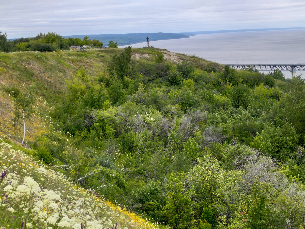 Шикарный вид на Волгу в десяти минутах от моего дома) Ульяновск