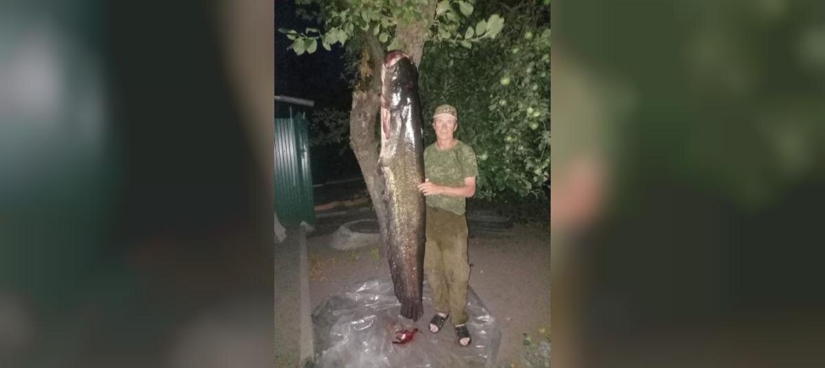    Фото: сообщество Рыбалка г.Павловск Воронежская область/ Валерий Караваев