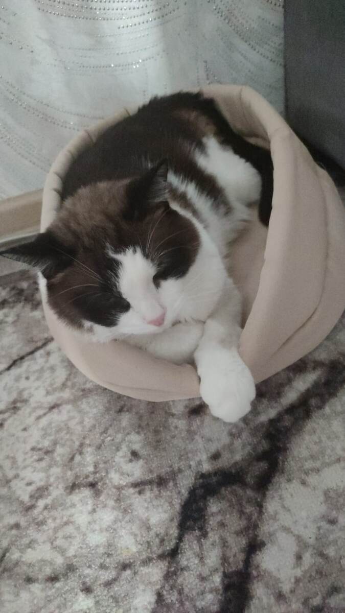 Фото автора 