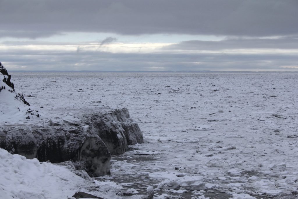   Вид на залив в Аляске. Татьяна Лукьянова / РИА Новости