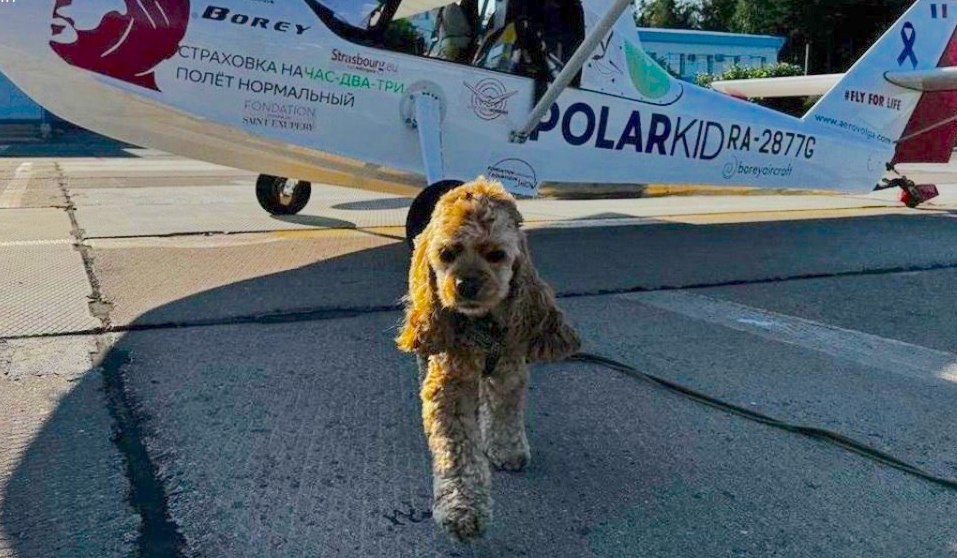 Флаперон. Источник фото: ugra-news.net