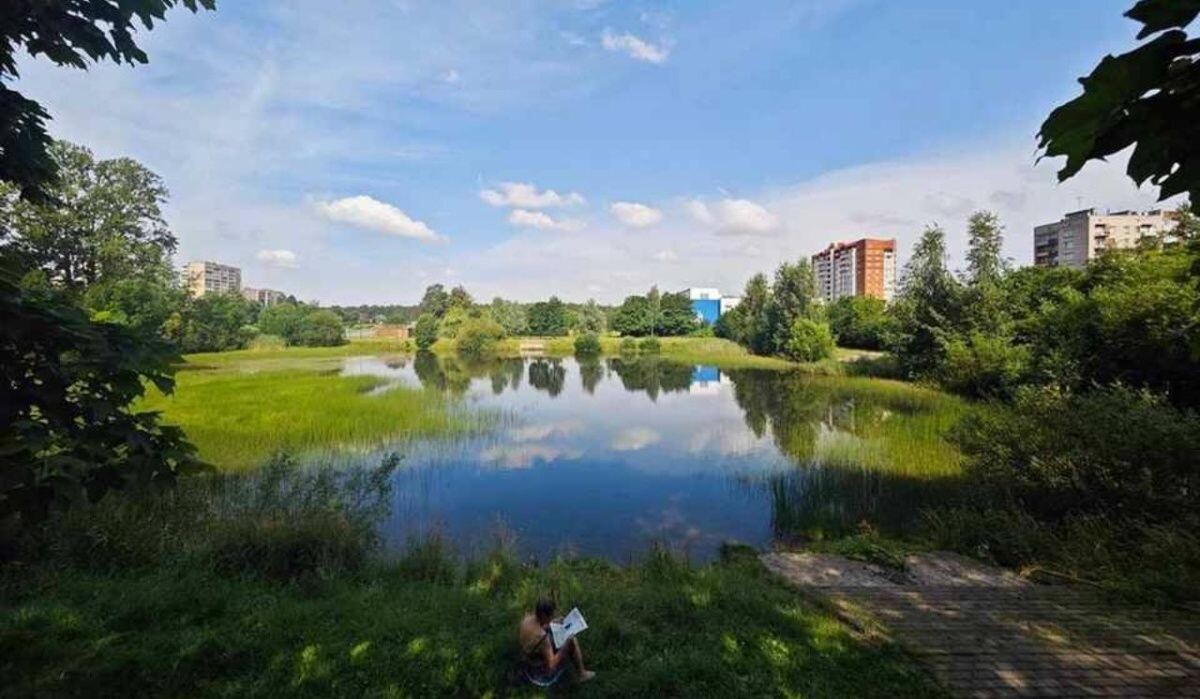     Санкт-Петербург. Источник: kp.ru Автор фото: Алексей Булатов