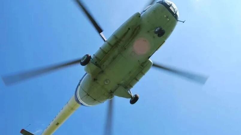    Фото:Basthamp/Shutterstock/Fotodom