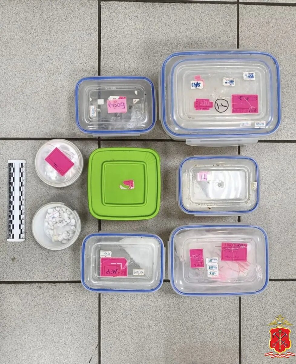    Фото: ГУ МВД по Петербургу и Ленобласти