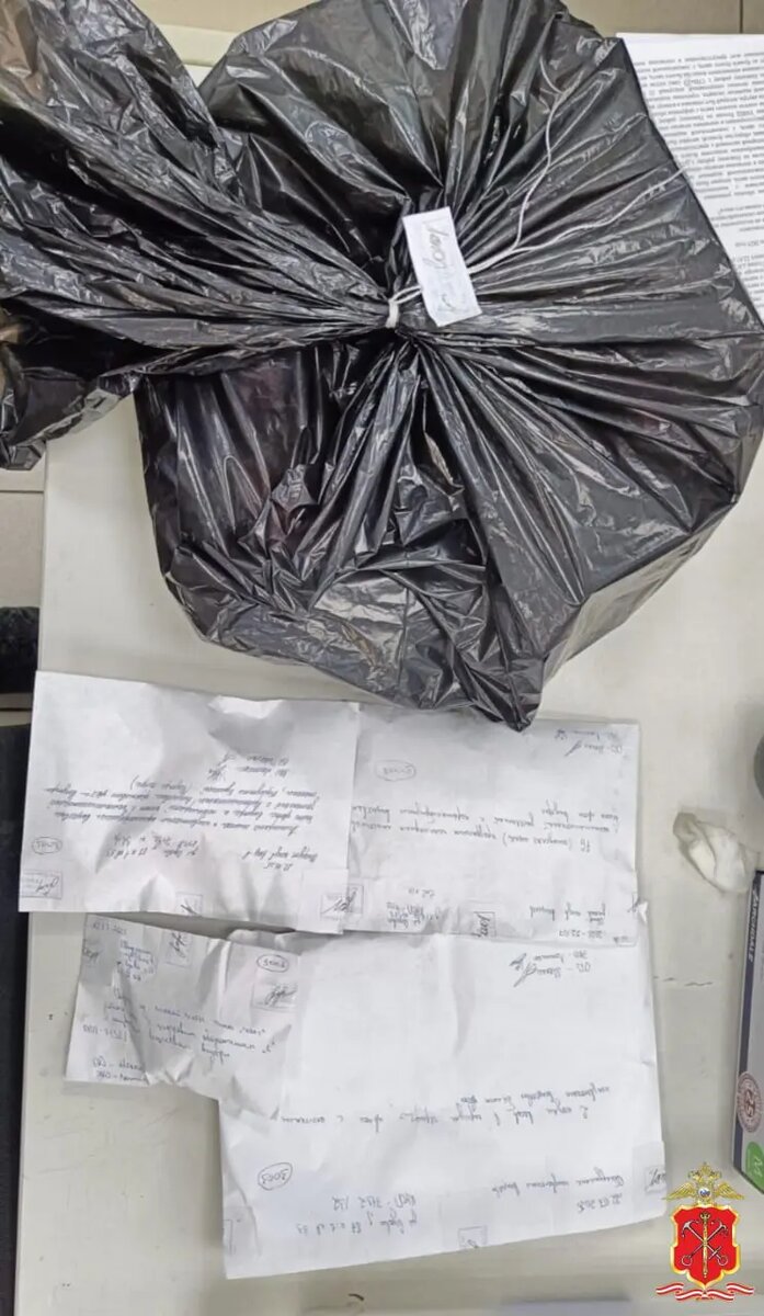    Фото: ГУ МВД по Петербургу и Ленобласти