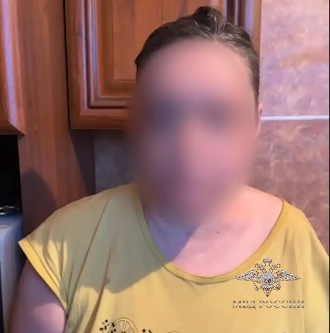    Фото: скриншот видео из телеграм-канала официального представителя МВД России Ирины Волк
