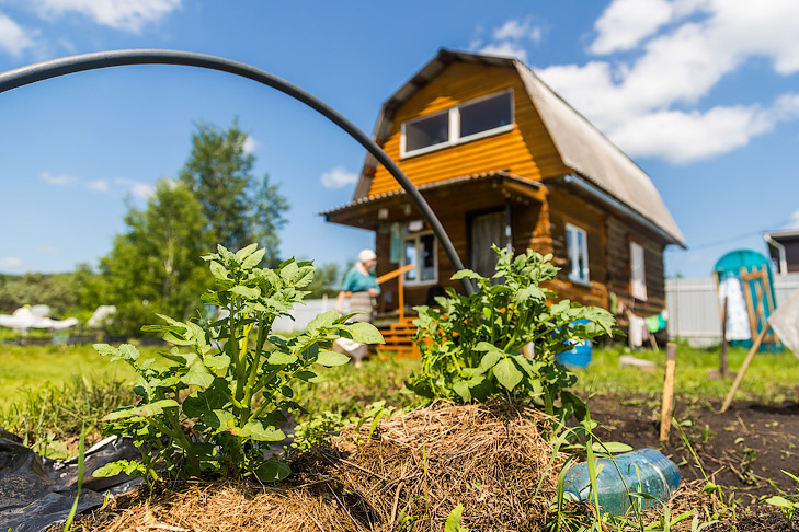    Фото Андрея Заржецкого