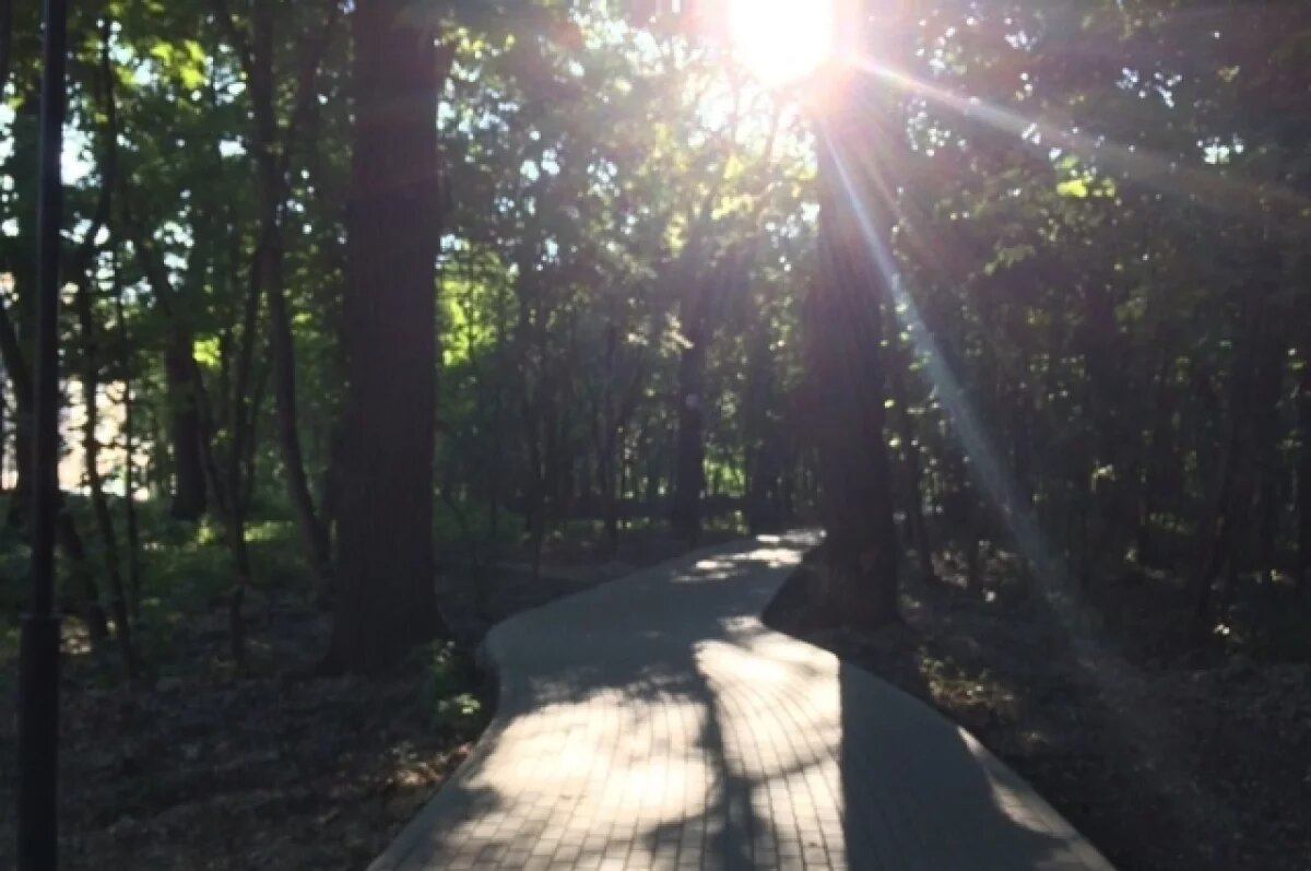    В Пензе проверят законность продажи мороженого 18+ на Олимпийской аллеи