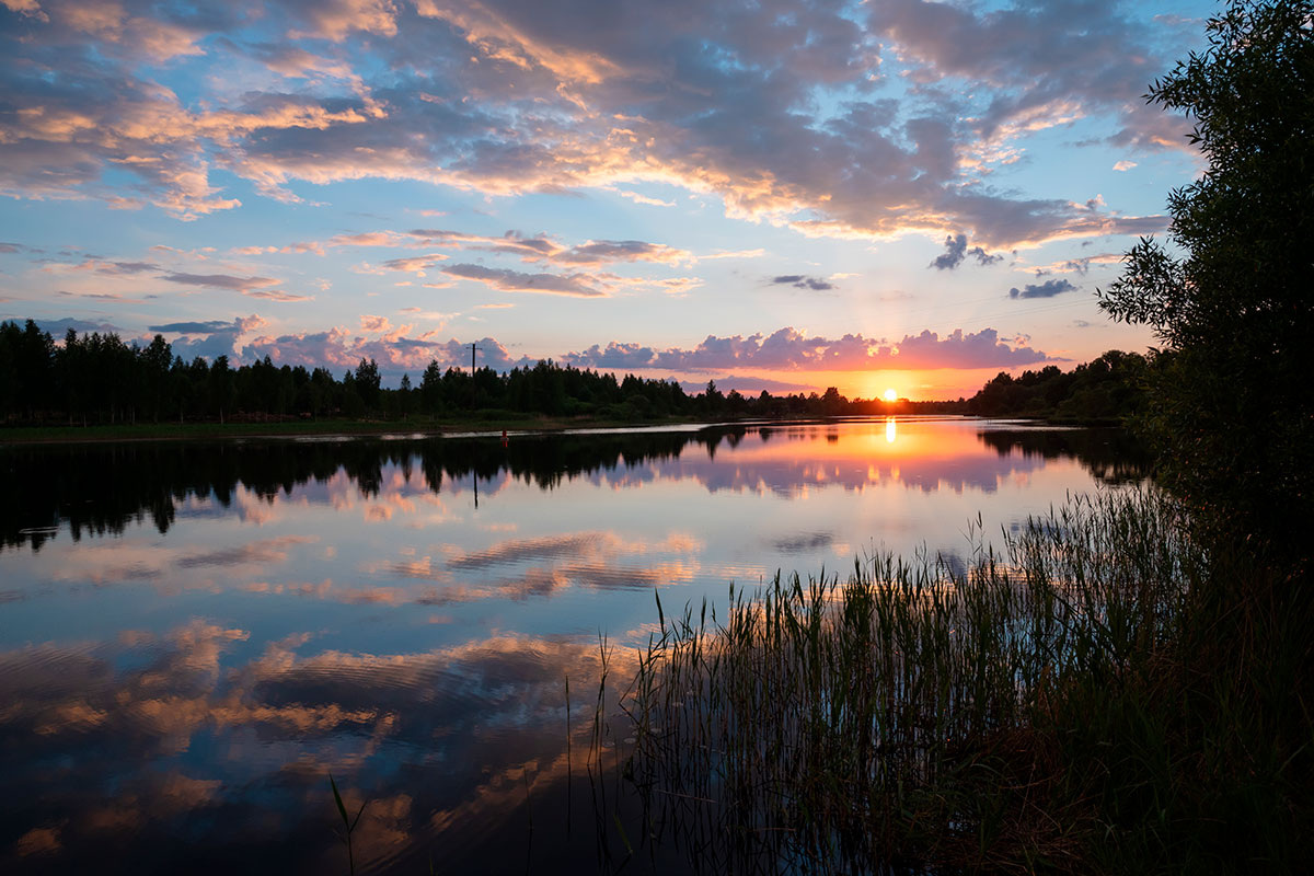    Изображение носит иллюстративный характер. Фото: IULIIA GUSEVA / Shutterstock.com