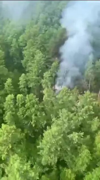    Фото: кадр видео МЧС РФ