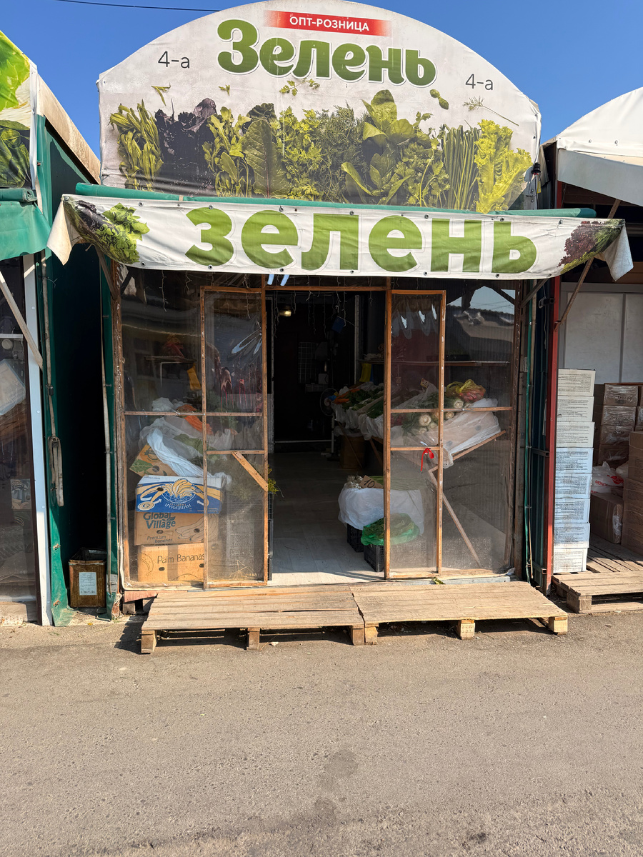 Свежая зелень