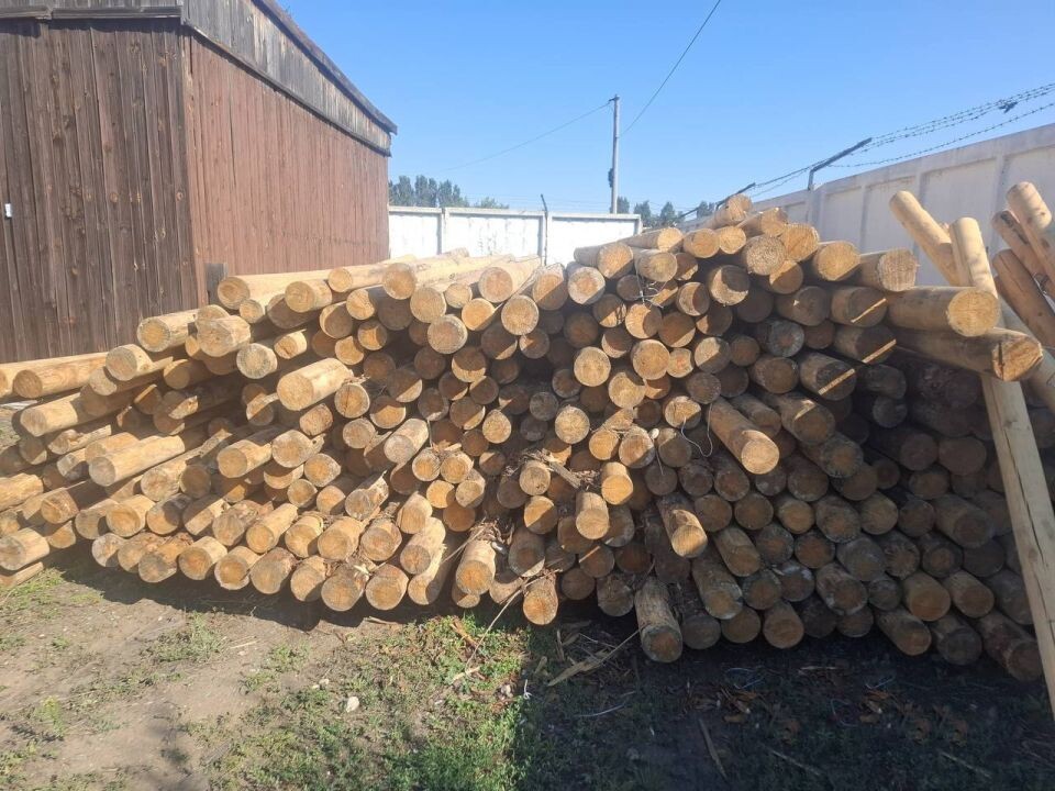    Контрабанда леса. Источник: пресс-служба Алтайской таможни