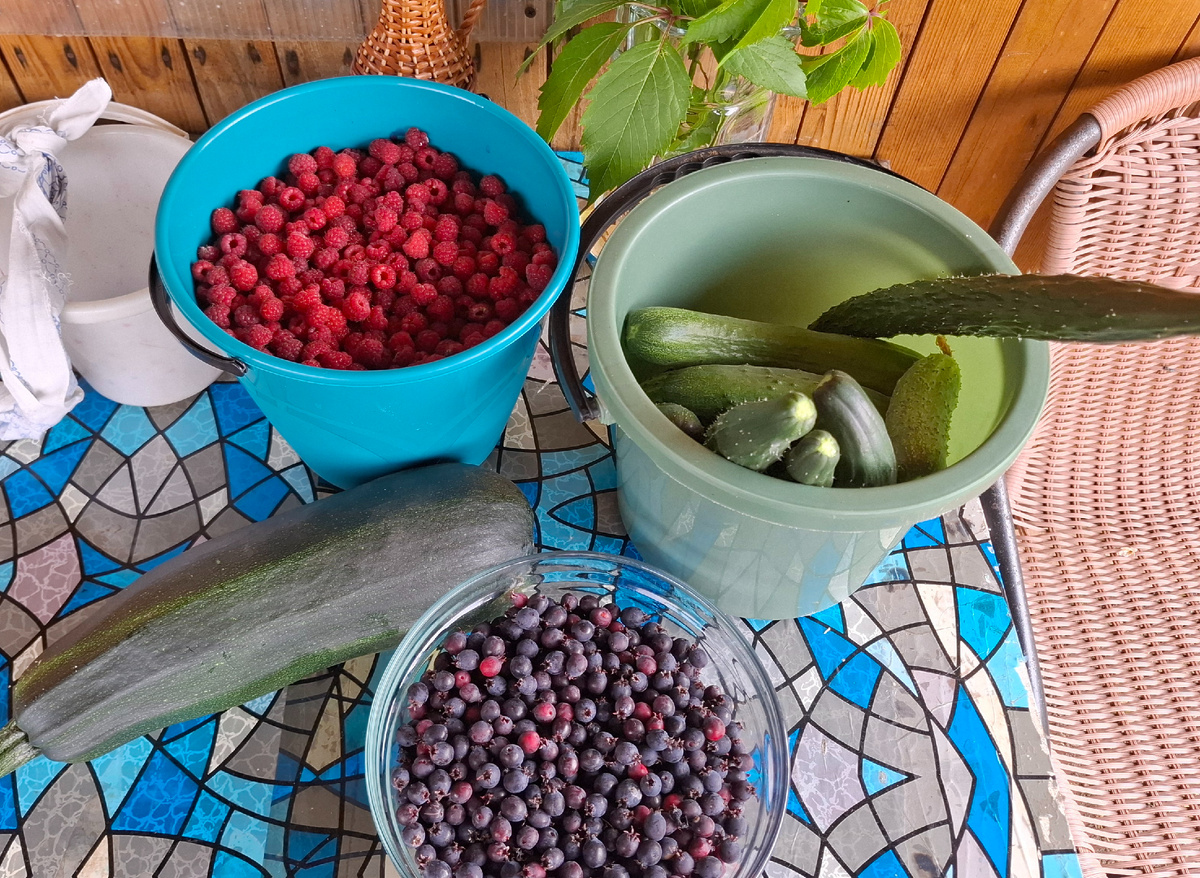 Вот такой урожай сегодня.