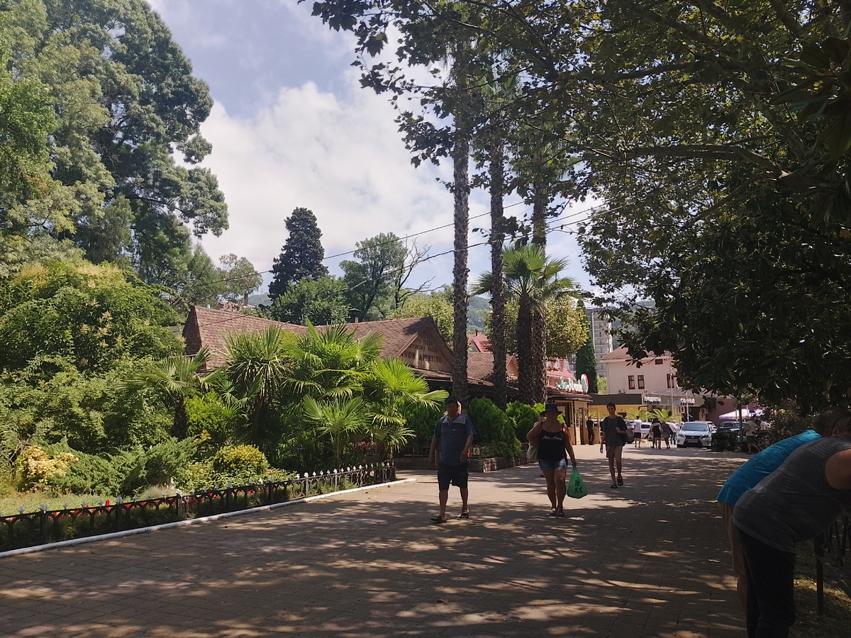 Фото автора статьи, район Хоста