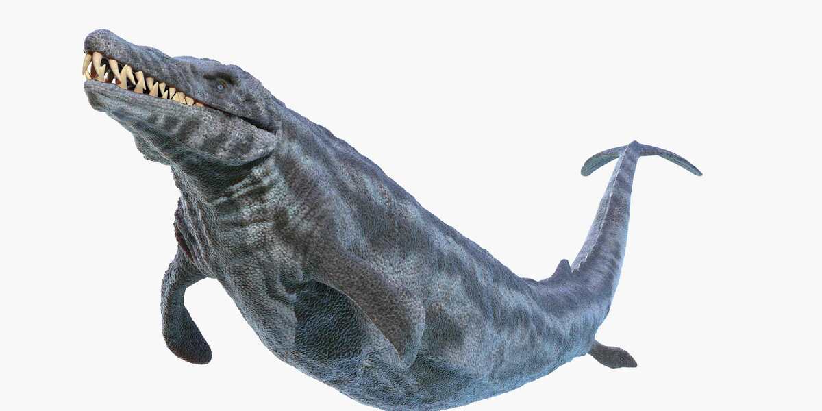 Иллюстрация с изображением базилозавра.