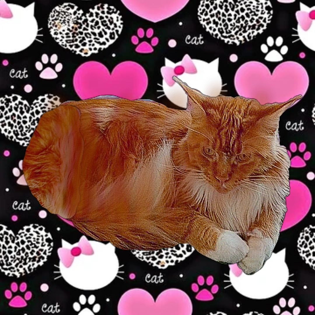 Арт, Злата_гейм, кошка, дзен