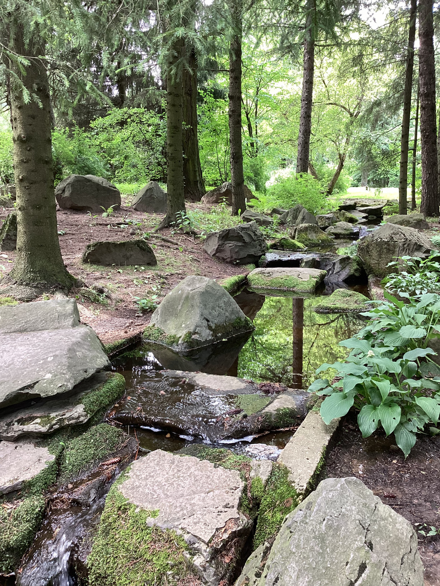 Сохраняется ощущение дикой природы. Фото автора.