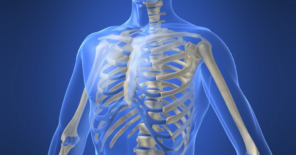 Источник: googleusercontent.com