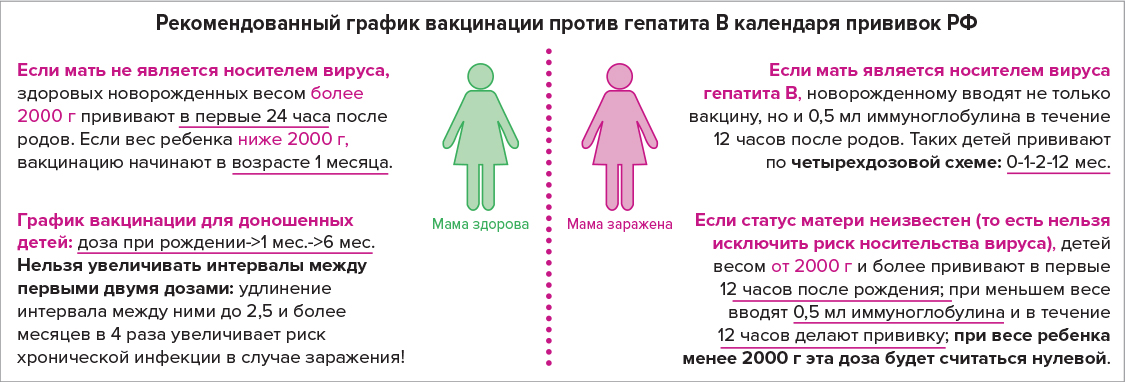 Рекомендованный график вакцинации против гепатита B календаря прививок РФ