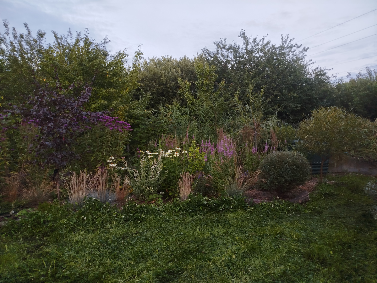  Цветы — дети жизни