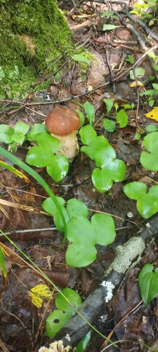 Фото Михаила Попенкова . 21.07.25