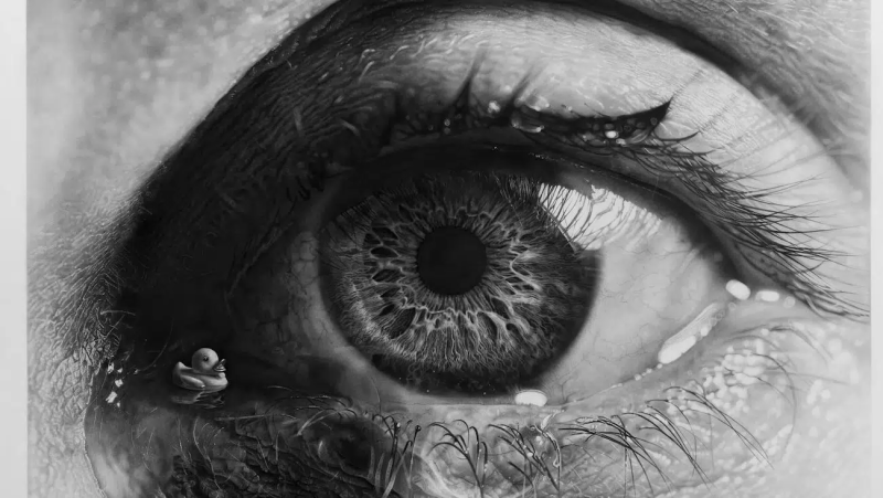 "Слезоточивая утка". Источник: www.jonodryart.com