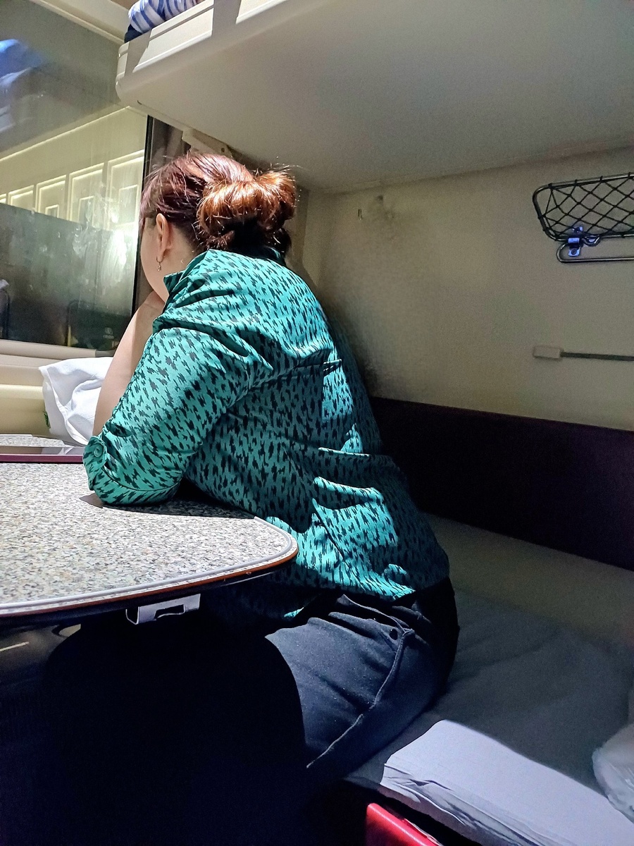    Беготня по туалетам, открытое окно и нижняя полка - названы самые частые причины ссор между попутчиками в купе и плацкарте