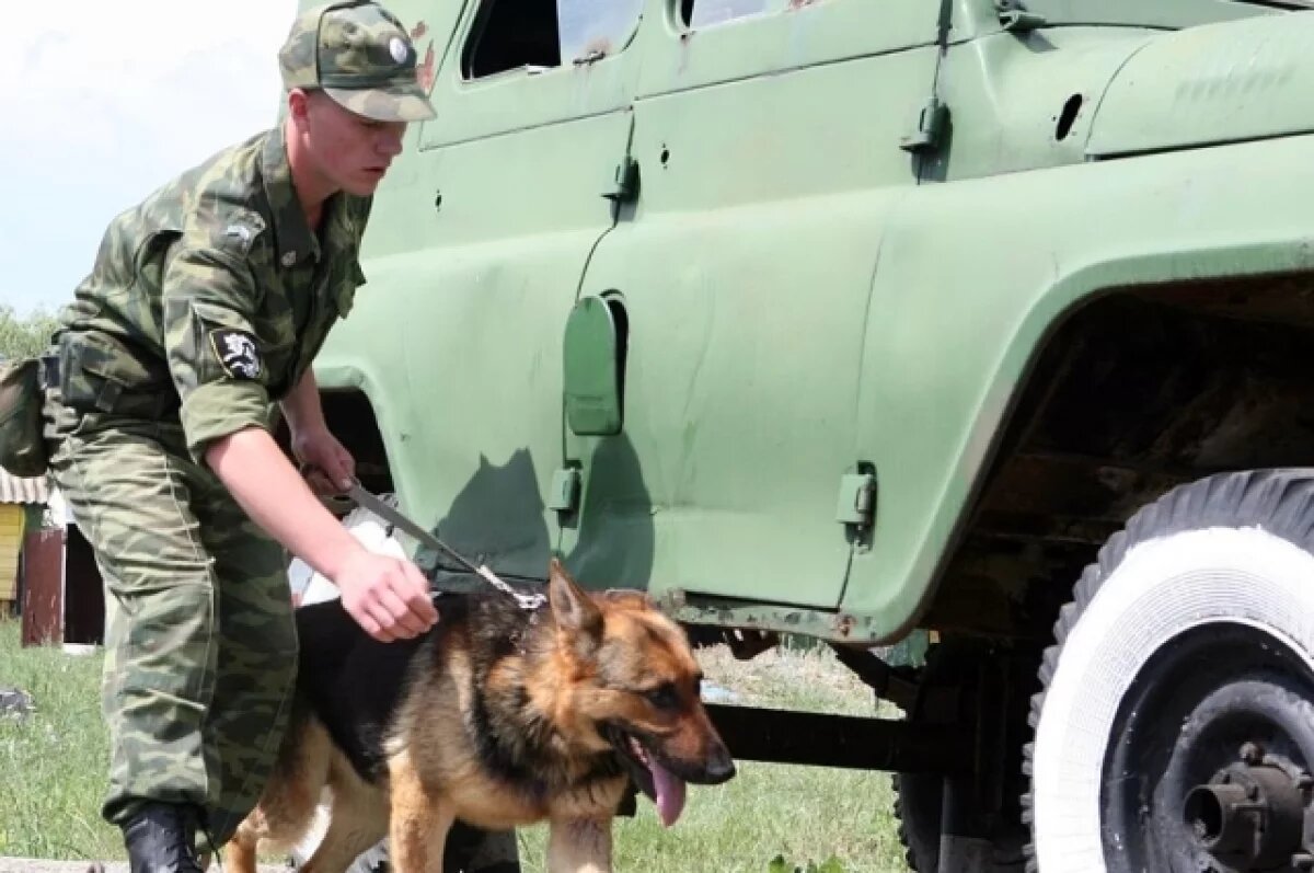    В Ростовской области прошли работы по обезвреживанию сбитых БПЛА