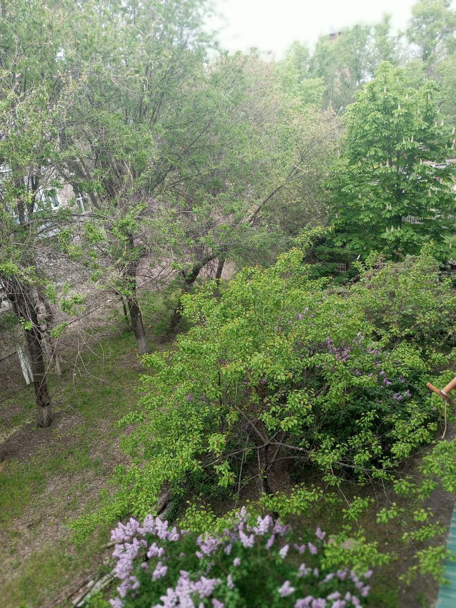 Где-то здесь "голубиная тропа")