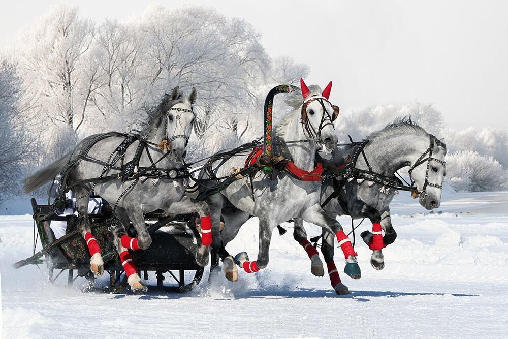 картинка из интернета