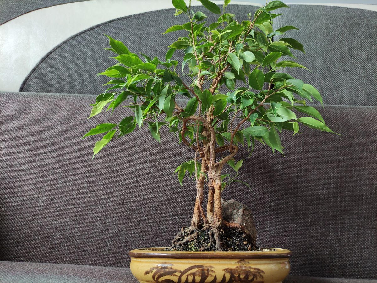 Фото моей работы.