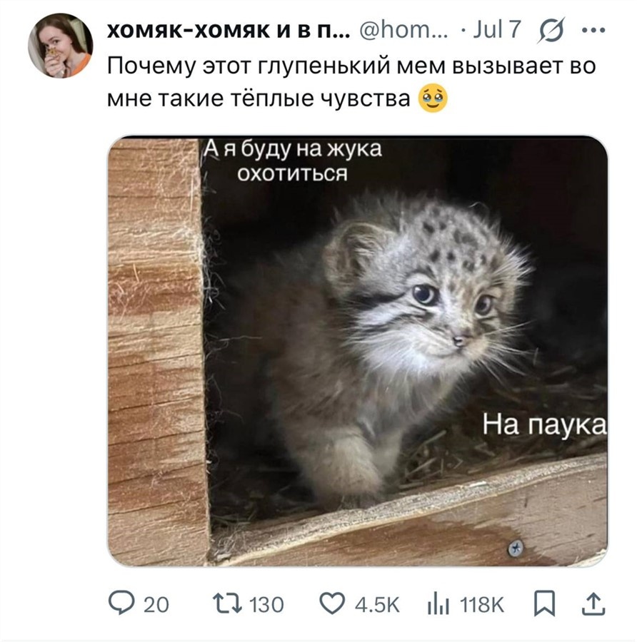 Твитт, который, предположительно, положил начало тренду
Источник: X.com
