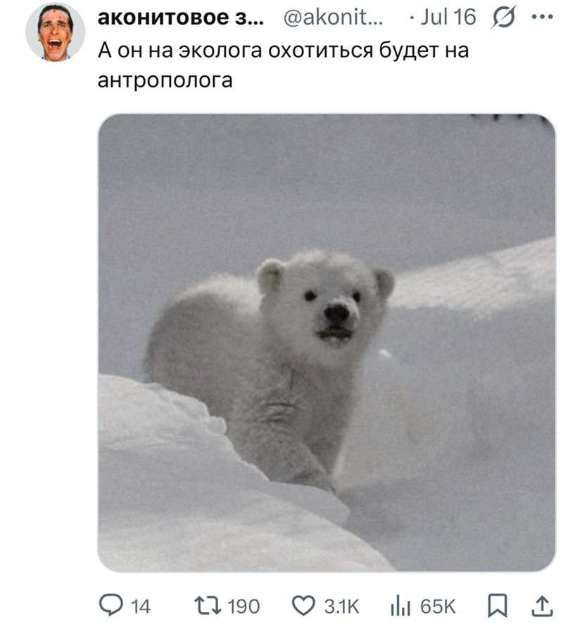 Не только манулы выходят на охоту
Источник: соцсети
