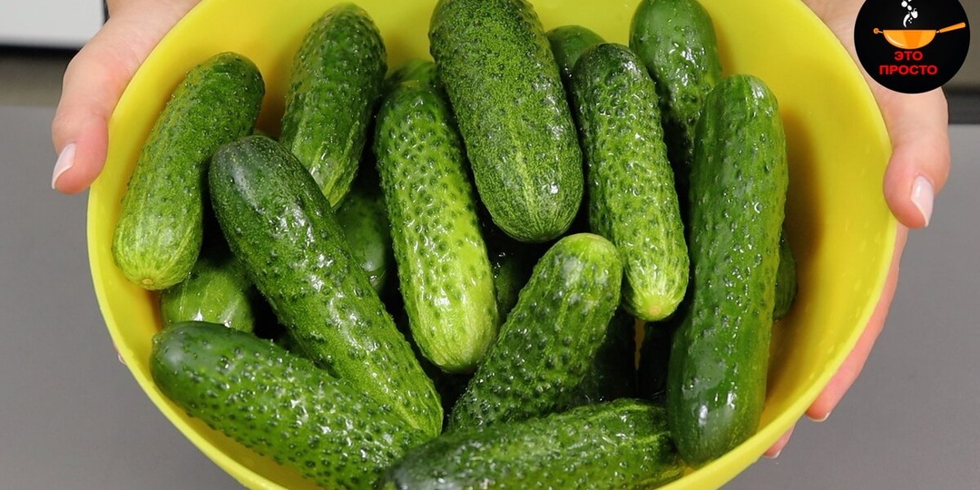 Секреты хрустящих огурцов для засолки на зиму: какие взять сорта, специи, как сделать рассол