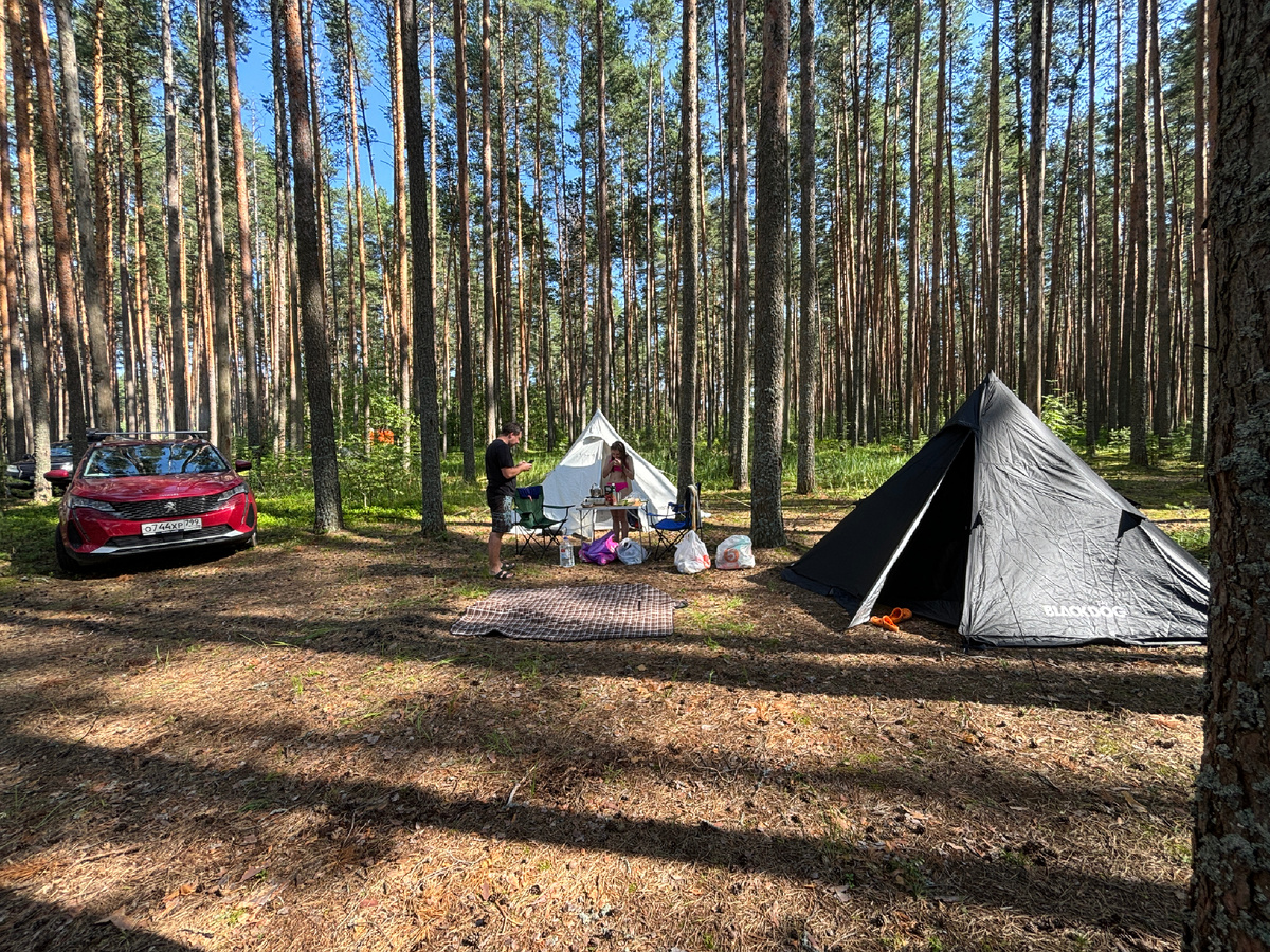 Наш уютный палаточный лагерь