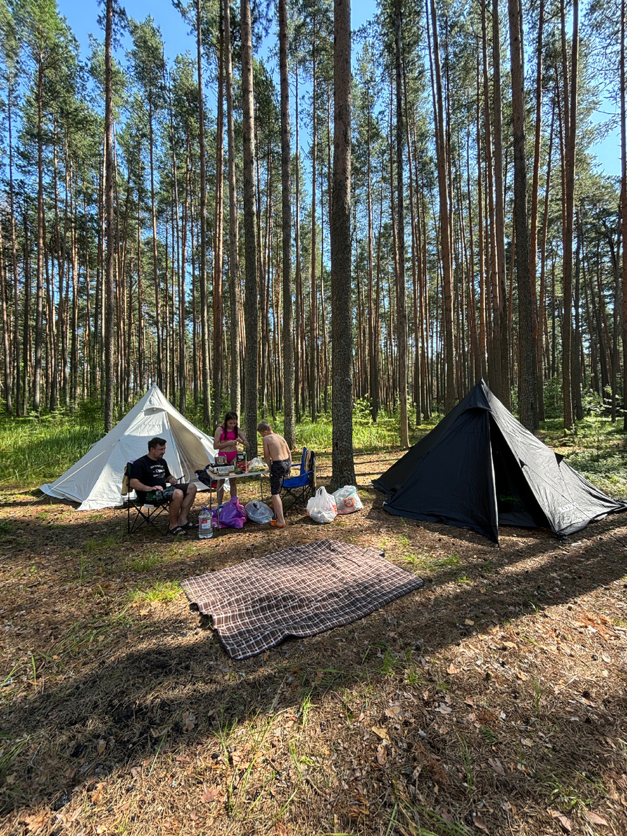 Устроились.