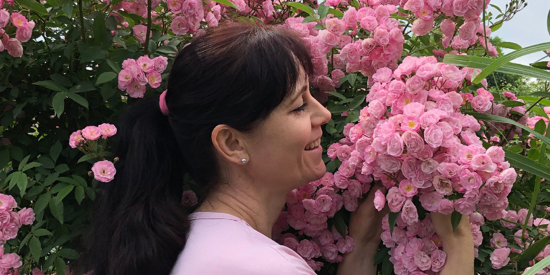 Посадка роз. Чтобы цветение было роскошным🌹🌹🌹.