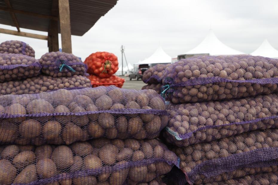    Артём Соболев/NEWS.ru